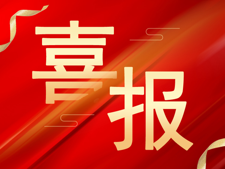喜报：OD平台荣获山东省“专精特新”、“创新型”中小企业荣誉称号